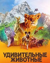 Удивительные животные (2021) смотреть онлайн